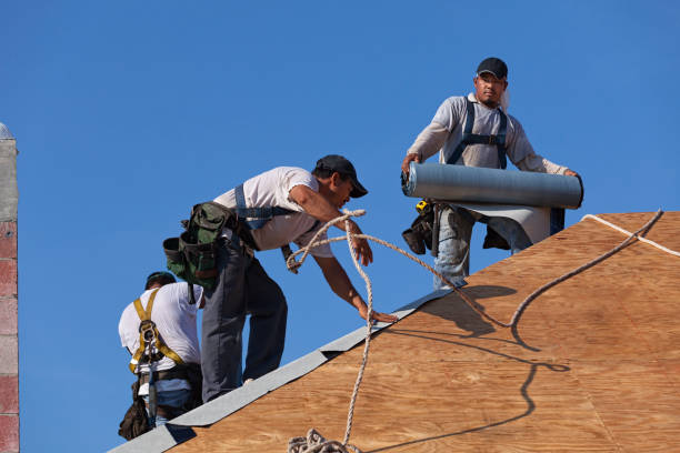 Quick and Trustworthy Emergency Roof Repair Services in Trowbridge Park, MI