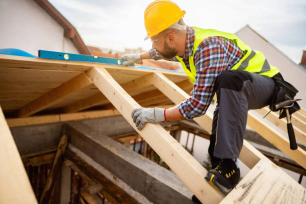 Best Shingle Roofing Installation  in Trowbridge Park, MI