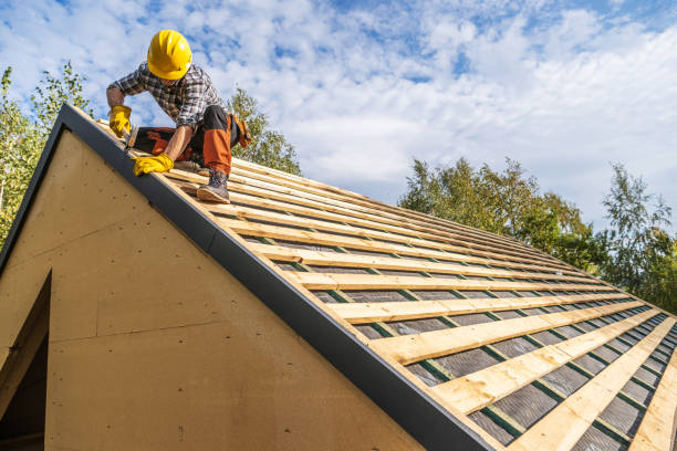 Best Gutter Installation and Roofing  in Trowbridge Park, MI
