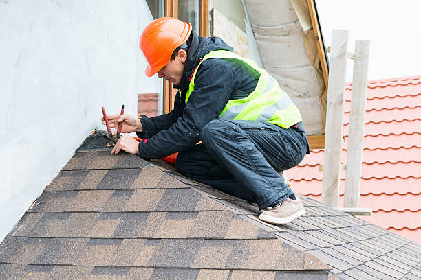 Best Sealant for Roof  in Trowbridge Park, MI